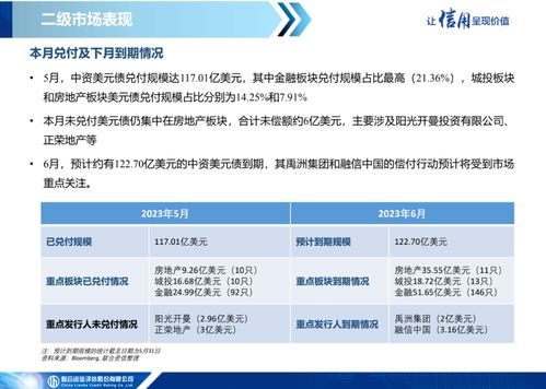 中資美元債市場(chǎng)信息月報(bào)（2023年5月） 一級(jí)市場(chǎng)發(fā)行繼續(xù)低迷，二級(jí)市場(chǎng)表現(xiàn)保持分化
